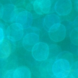 Bokeh-445